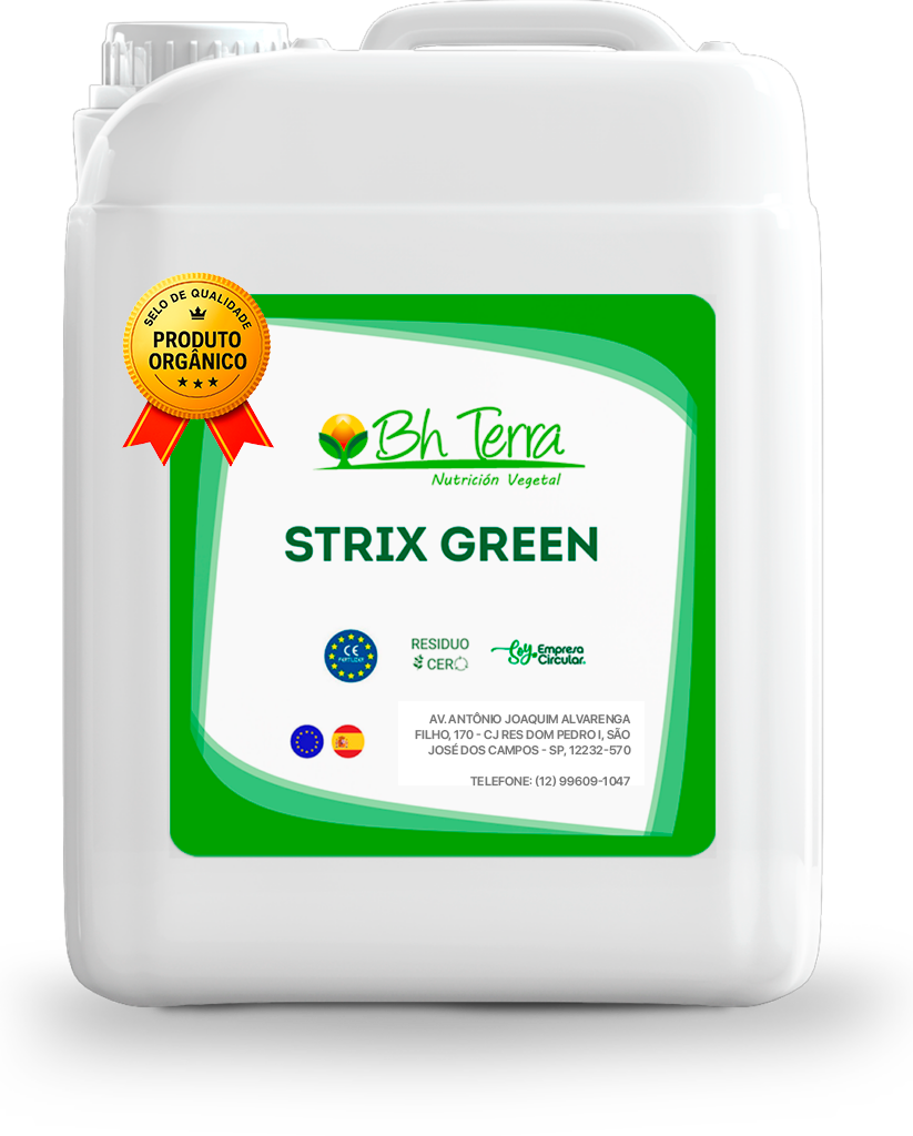STRIX GREEN